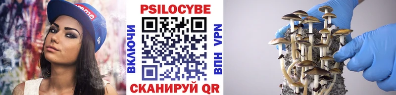 Псилоцибиновые грибы мицелий  MEGA зеркало  Рязань  как найти закладки 